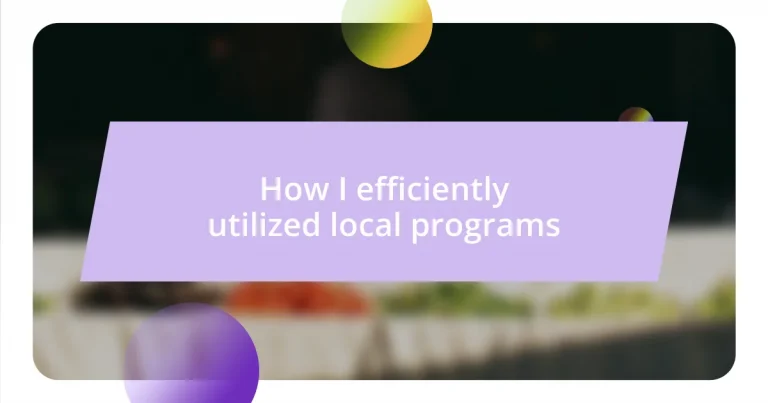 How I efficiently utilized local programs