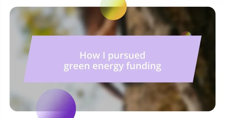 How I pursued green energy funding