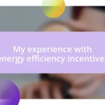 My experience with energy efficiency incentives