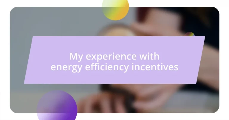 My experience with energy efficiency incentives