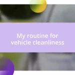 My routine for vehicle cleanliness