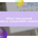 What I discovered about sustainable rebates